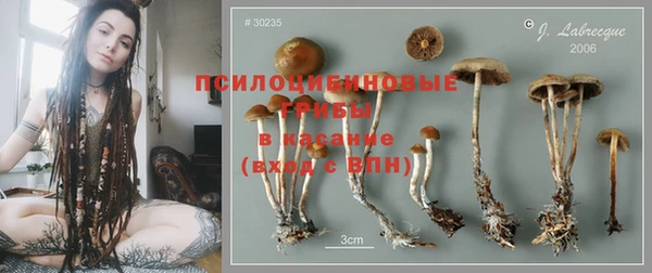 мдпв Беломорск